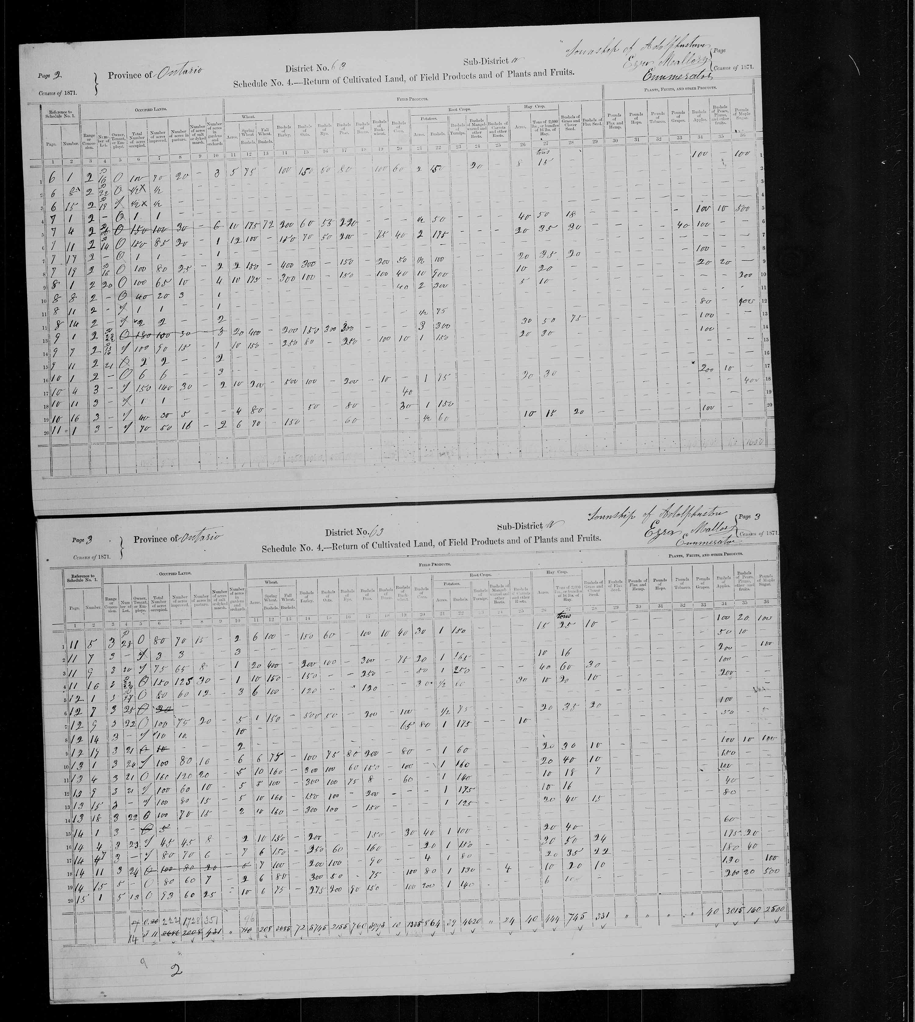 Title: Census of Canada, 1871 - Mikan Number: 142105 - Microform: c-9995