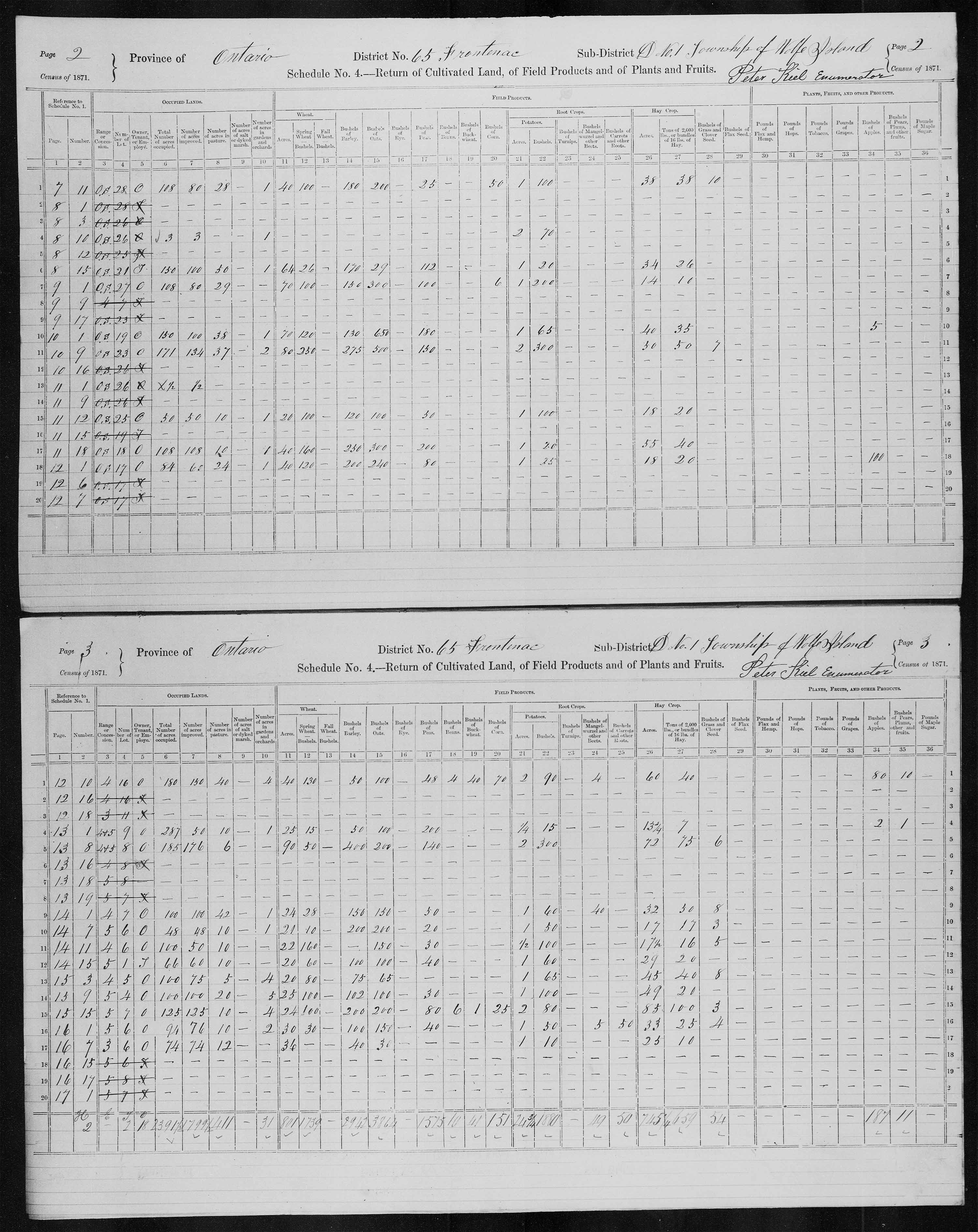 Title: Census of Canada, 1871 - Mikan Number: 142105 - Microform: c-9998